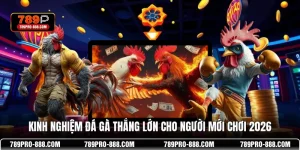 Kinh Nghiệm Đá Gà Thắng Lớn Cho Người Mới Chơi 2026